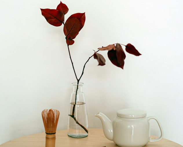 Discover Our Bold New Home Collections at Blush Lane Interiors